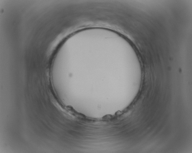 X0000078311503200612011846