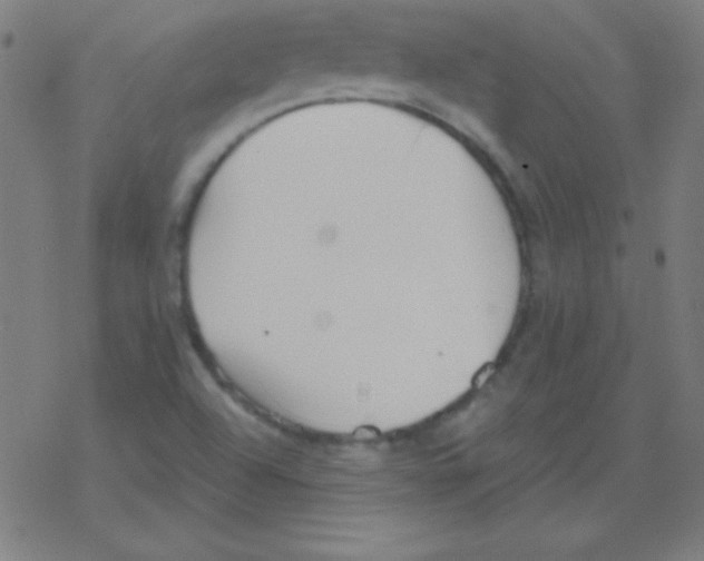 X0000078311504200612011846