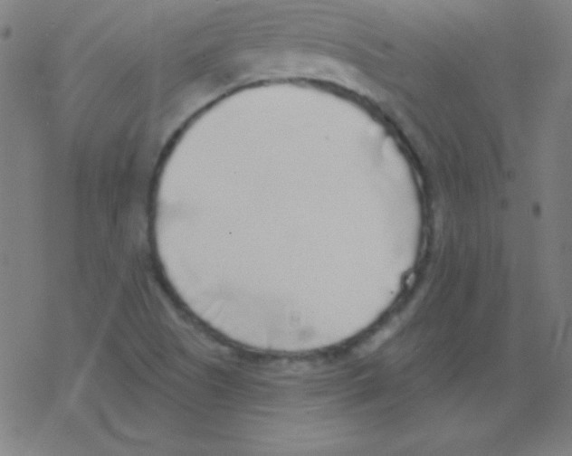 X0000078311505200612011846