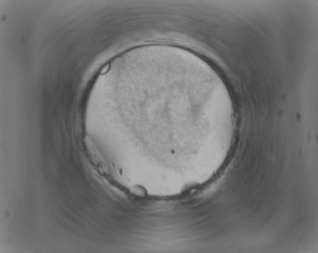 X0000078311506200612011846