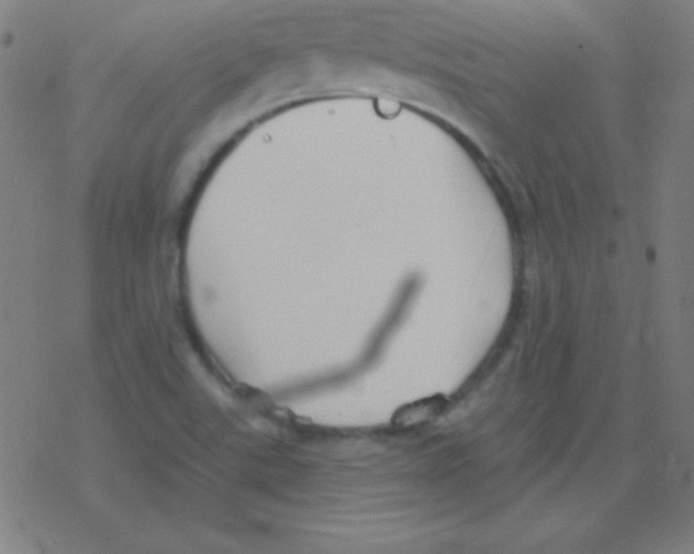 X0000078311507200612011846