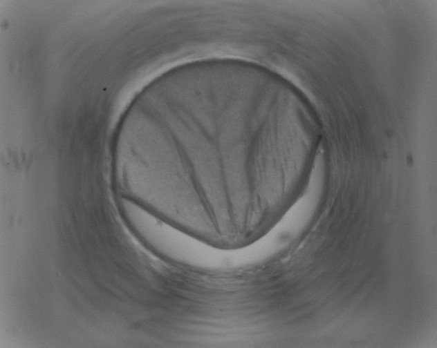 X0000078311508200612011846