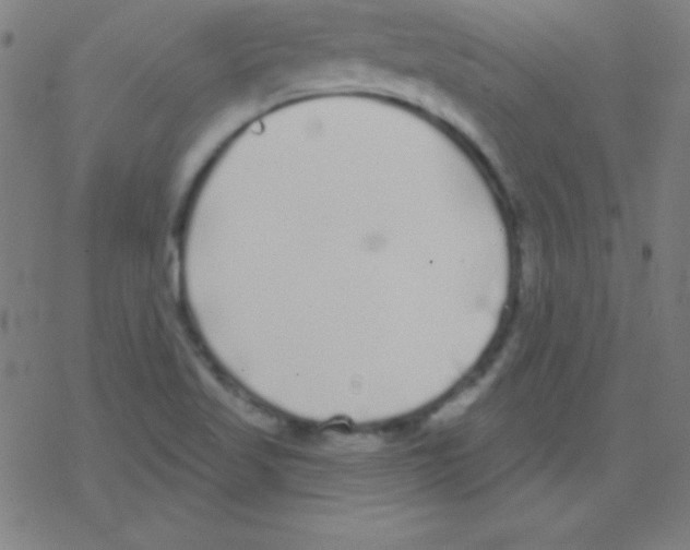 X0000078311509200612011846