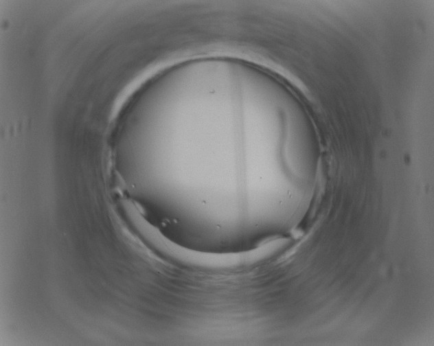 X0000078311510200612011846