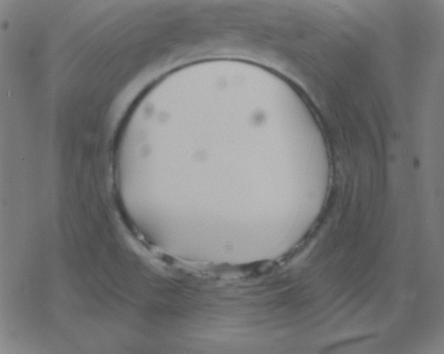 X0000078311511200612011846