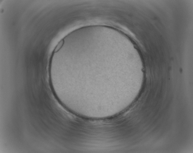 X0000078311512200612011846