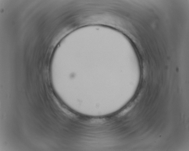 X0000078311513200612011846