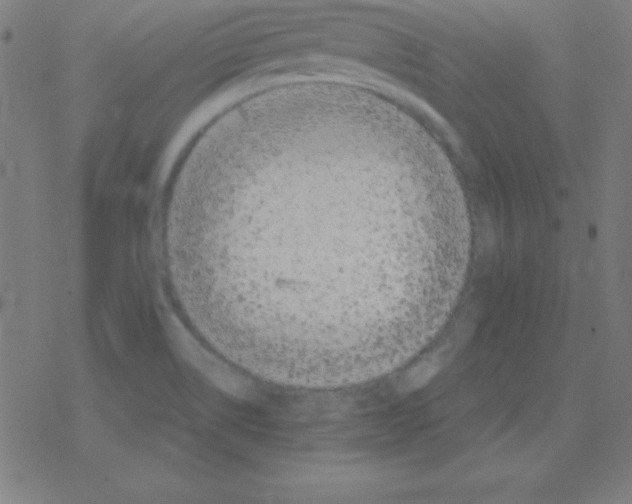 X0000078311514200612011846