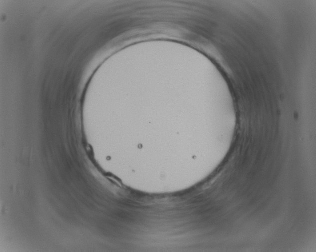 X0000078311516200612011847