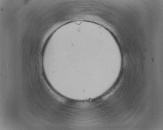 X0000078311517200612011847