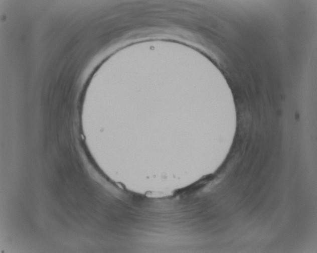 X0000078311518200612011847