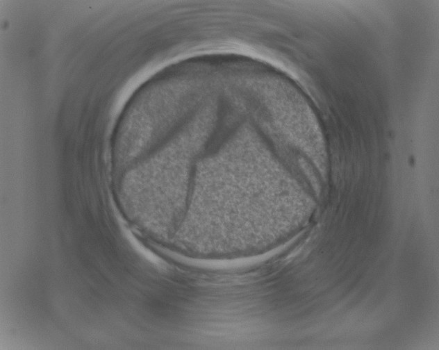 X0000078311519200612011847