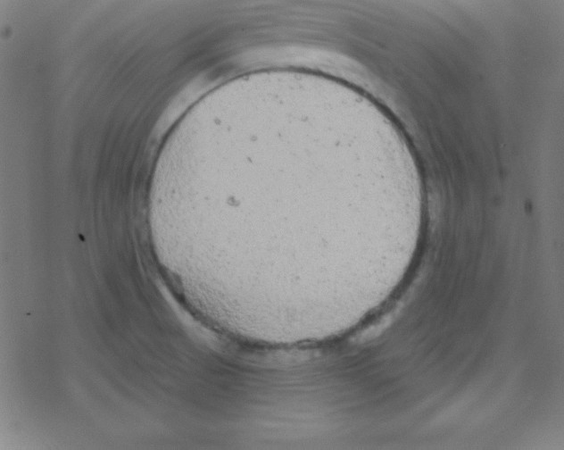 X0000078311521200612011847