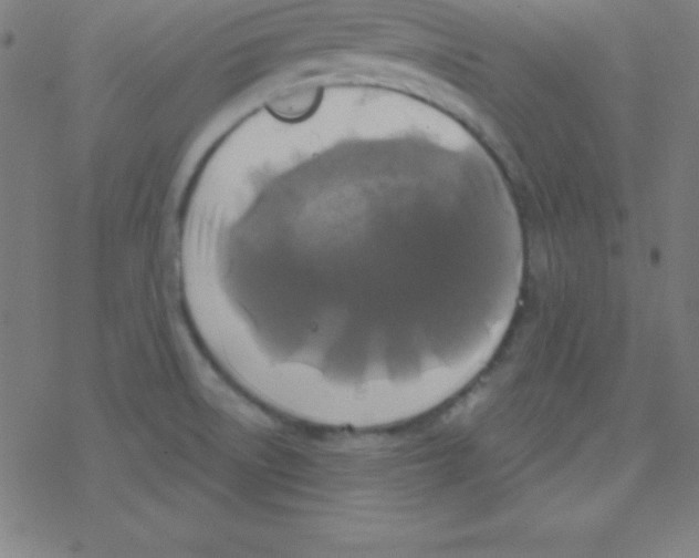 X0000078311522200612011847