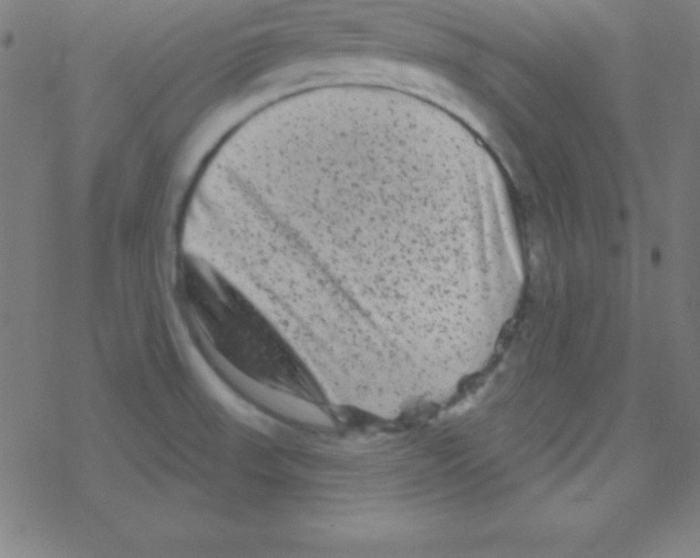 X0000078311523200612011847