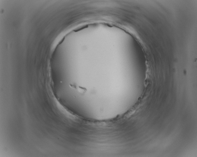 X0000078311524200612011847