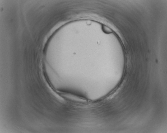 X0000078311525200612011847