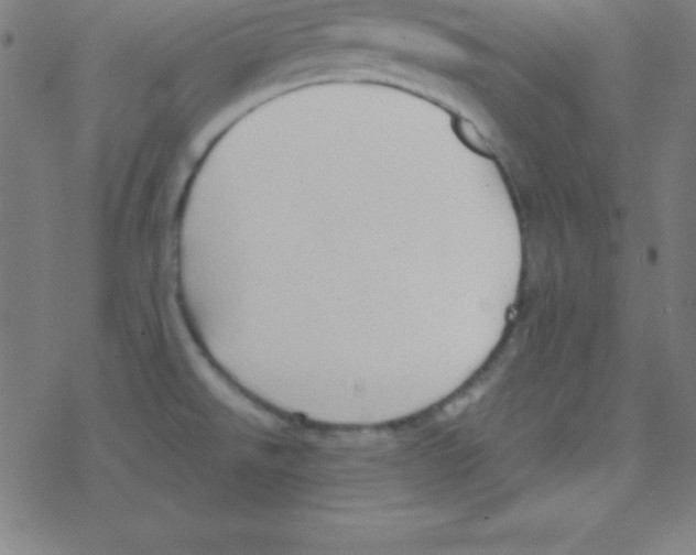 X0000078311526200612011847