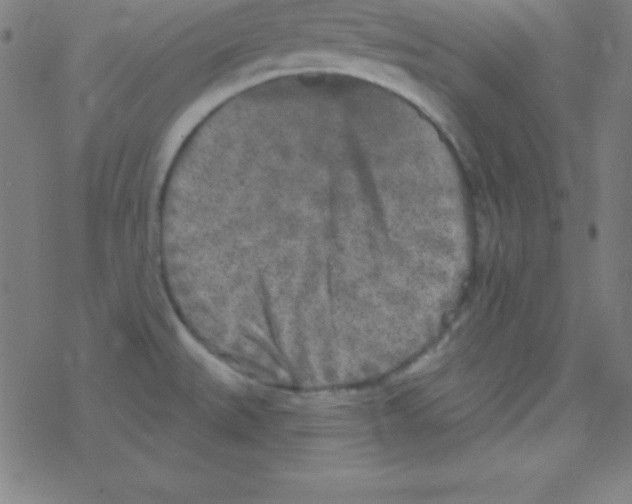 X0000078311527200612011847