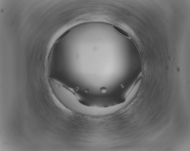 X0000078311528200612011847