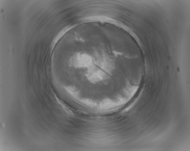 X0000078311529200612011847