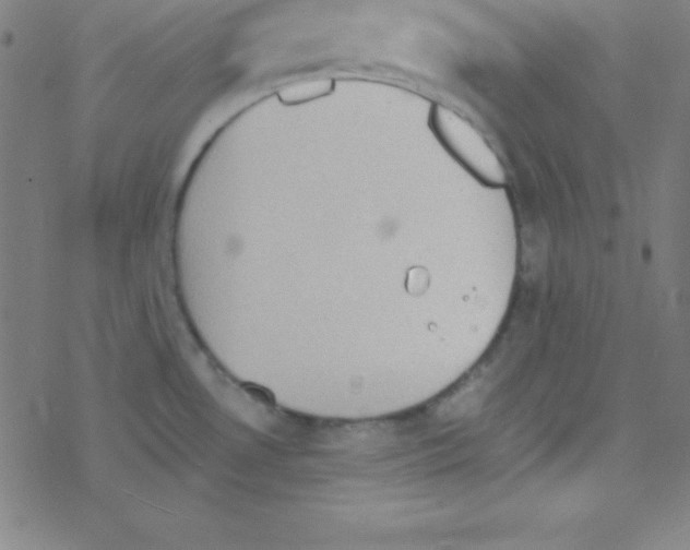 X0000078311530200612011847