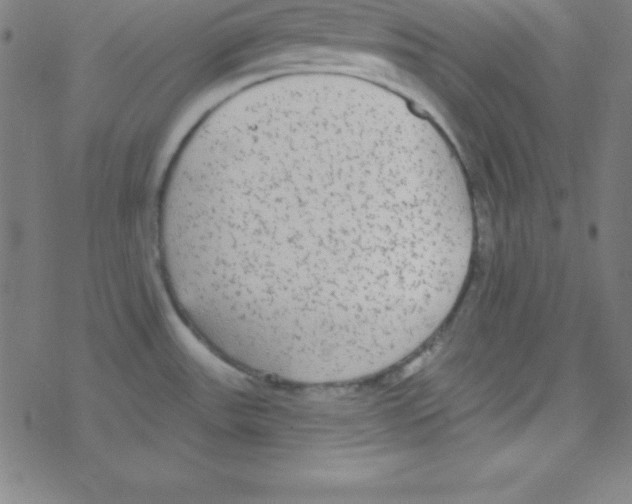 X0000078311531200612011847