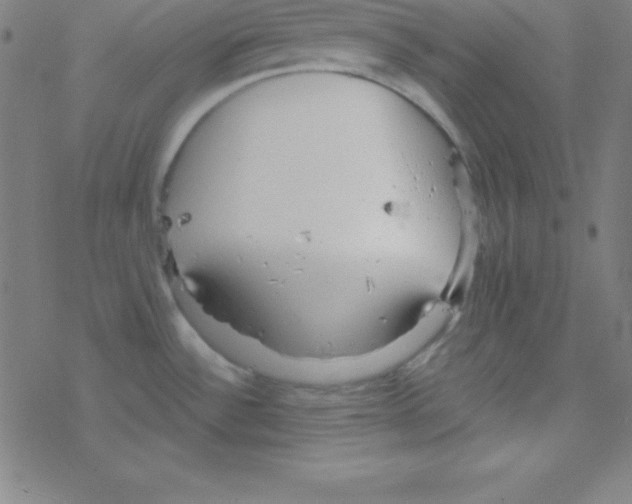 X0000078311532200612011847