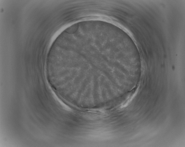 X0000078311533200612011847