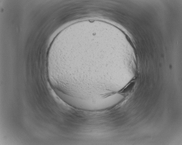 X0000078311534200612011847