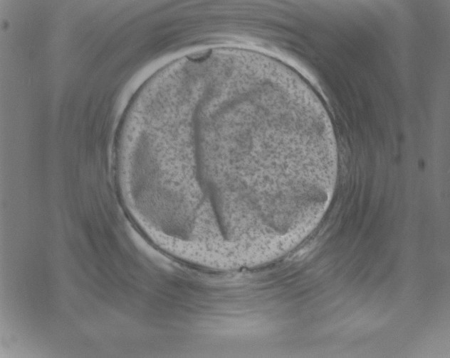 X0000078311535200612011847