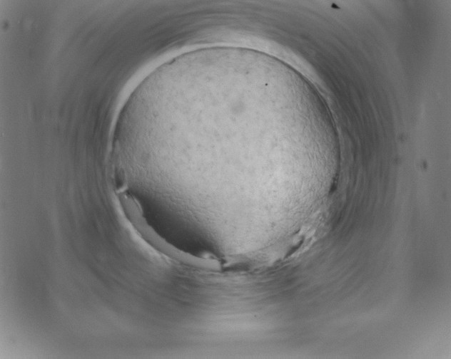 X0000078311536200612011847