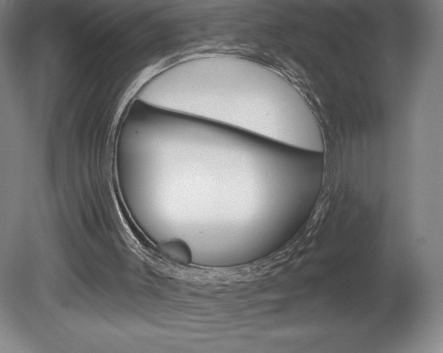 X0000078830003200611130944