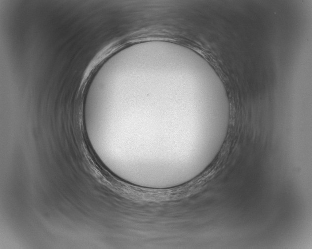 X0000078830004200611130944