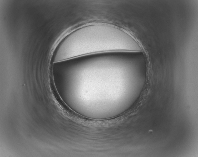 X0000078830007200611130944