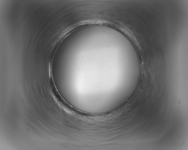 X0000078830013200611130944