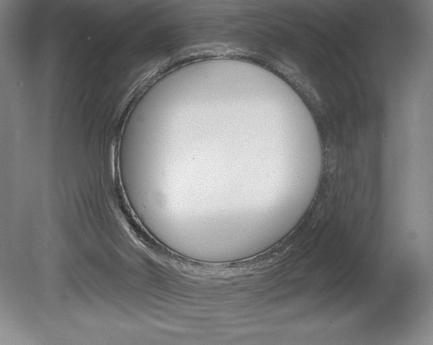 X0000078830014200611130944
