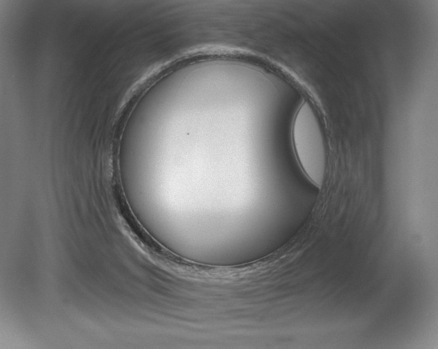X0000078830015200611130944