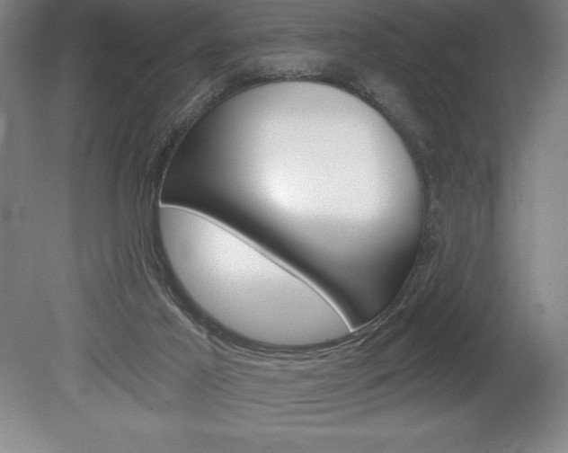 X0000078830021200611130943