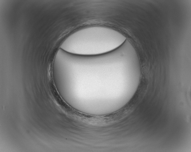 X0000078830024200611130943