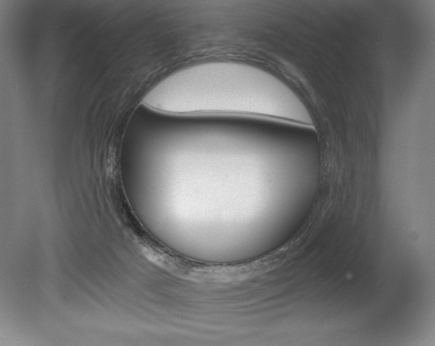 X0000078830025200611130943