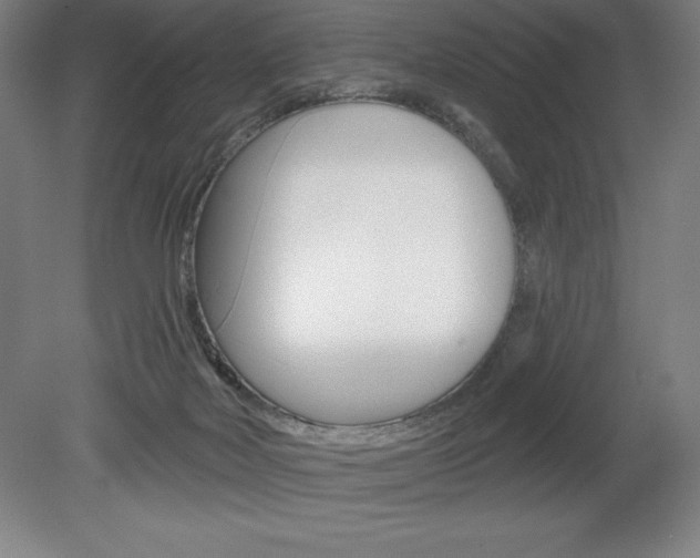 X0000078830026200611130943