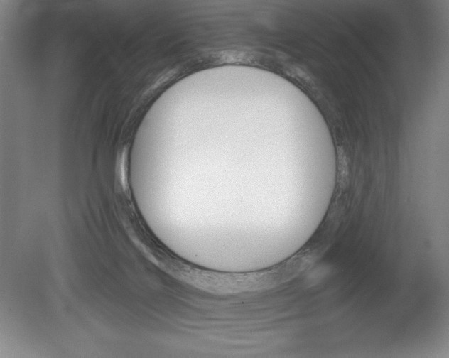 X0000078830028200611130943