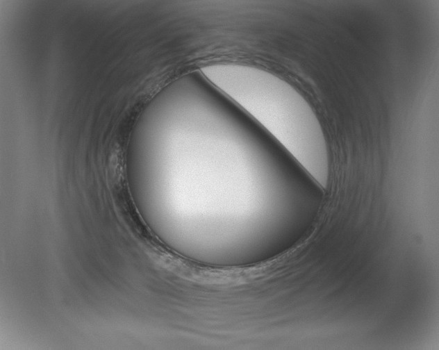 X0000078830029200611130943