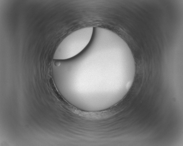 X0000078830030200611130943
