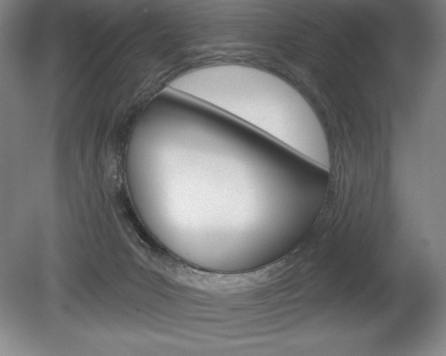 X0000078830031200611130943