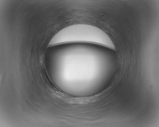 X0000078830033200611130943