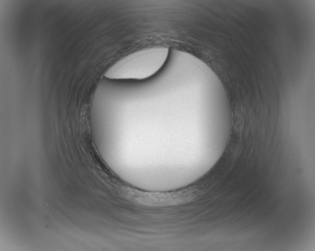 X0000078830034200611130943