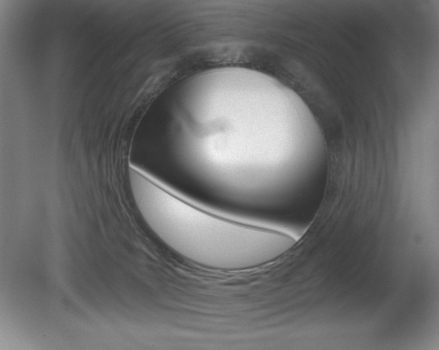 X0000078830035200611130943