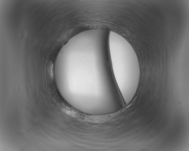 X0000078830041200611130943